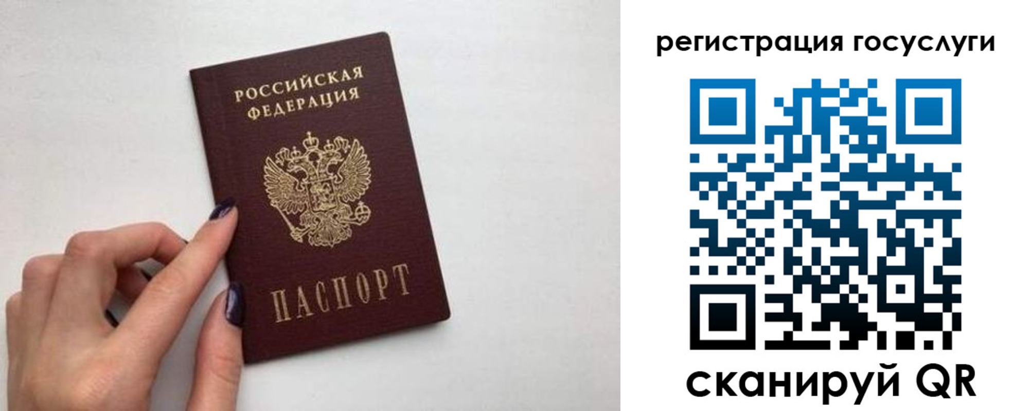 временная регистрация гарантия в Кирсе
